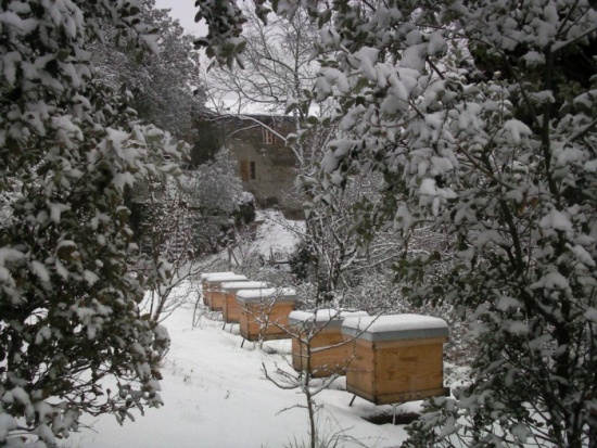 Le rucher en hiver