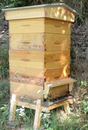 Ruche garnie de miel et d'abeilles...