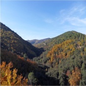 Cévennes, rivières, montagne, détente... Chambre hote cevenne cachee dans la montagne